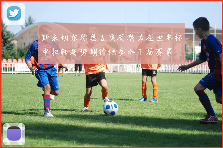 斯米切尔称恩古莫有潜力在世界杯中扭转局势期待他参加下届赛事
