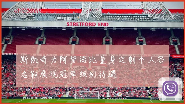 斯凯奇为阿努诺比量身定制个人签名鞋展现冠军级别待遇