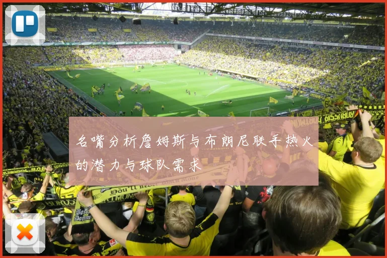 名嘴分析詹姆斯与布朗尼联手热火的潜力与球队需求